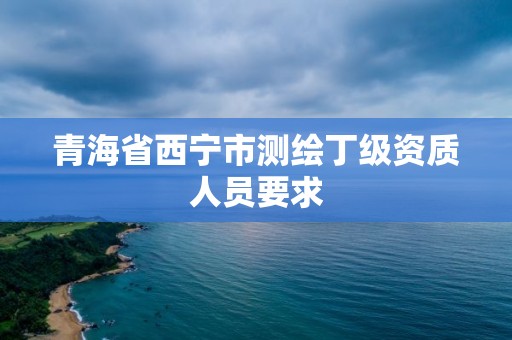 青海省西寧市測繪丁級資質人員要求