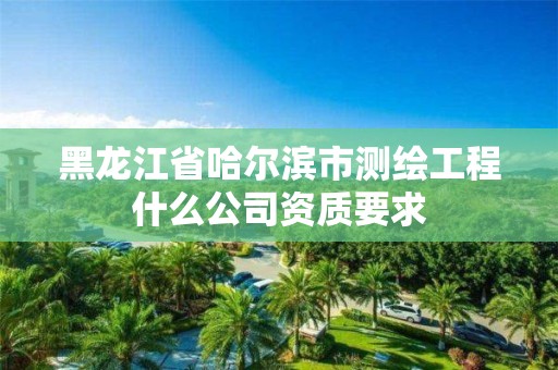 黑龍江省哈爾濱市測繪工程什么公司資質要求