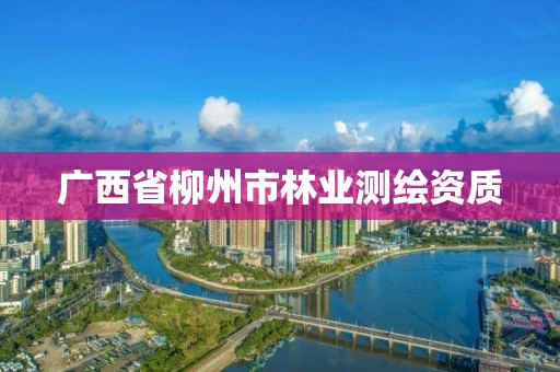 廣西省柳州市林業(yè)測繪資質(zhì)