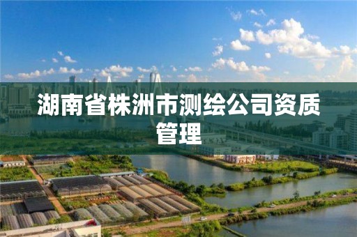 湖南省株洲市測繪公司資質管理