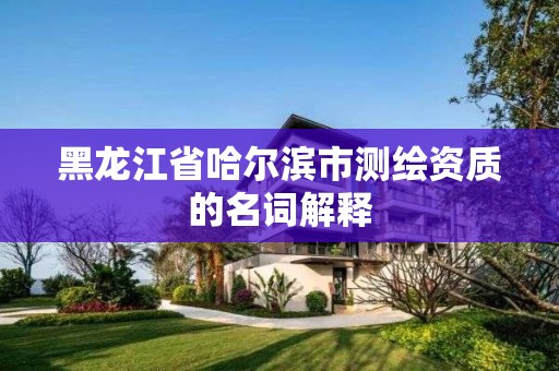 黑龍江省哈爾濱市測繪資質的名詞解釋