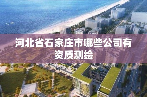 河北省石家莊市哪些公司有資質測繪