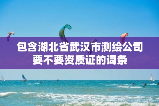 包含湖北省武漢市測繪公司要不要資質證的詞條