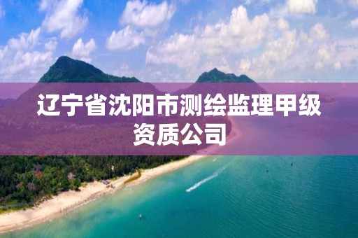 遼寧省沈陽市測繪監理甲級資質公司