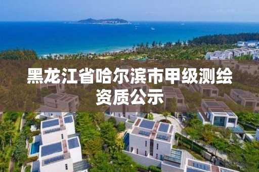 黑龍江省哈爾濱市甲級測繪資質(zhì)公示