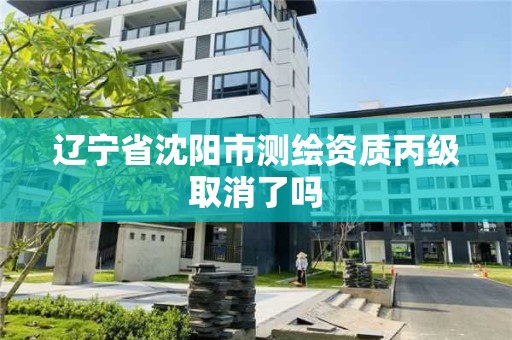 遼寧省沈陽市測繪資質丙級取消了嗎