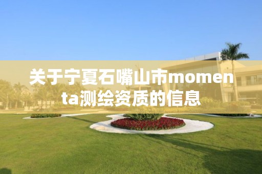 關于寧夏石嘴山市momenta測繪資質的信息