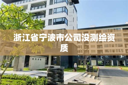 浙江省寧波市公司沒(méi)測(cè)繪資質(zhì)