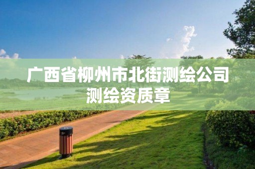 廣西省柳州市北街測(cè)繪公司測(cè)繪資質(zhì)章