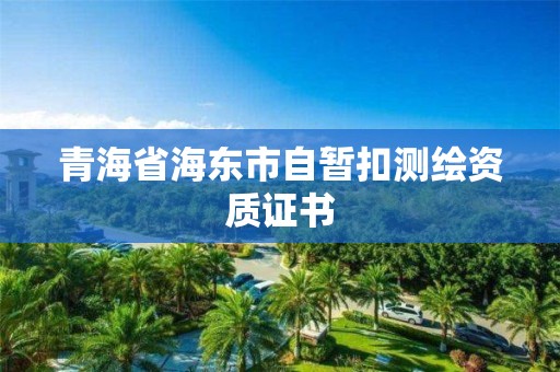 青海省海東市自暫扣測繪資質證書