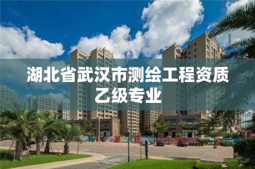 湖北省武漢市測繪工程資質乙級專業