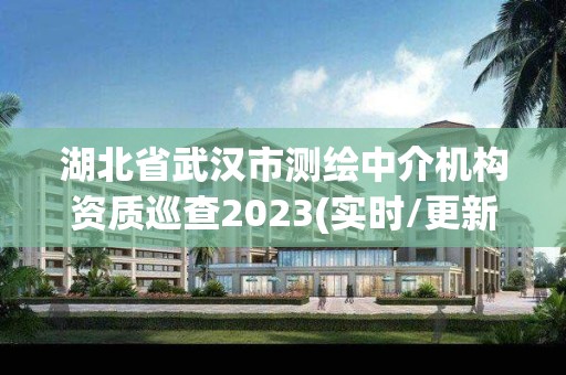 湖北省武漢市測繪中介機構資質巡查2023(實時/更新中)