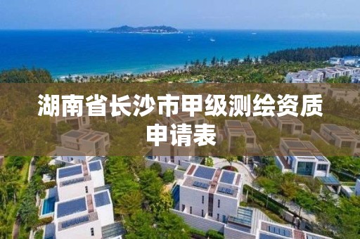 湖南省長沙市甲級測繪資質申請表