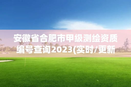 安徽省合肥市甲級測繪資質編號查詢2023(實時/更新中)