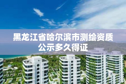 黑龍江省哈爾濱市測繪資質(zhì)公示多久得證