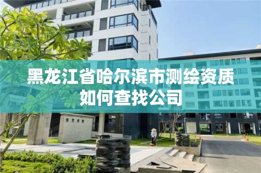 黑龍江省哈爾濱市測(cè)繪資質(zhì)如何查找公司