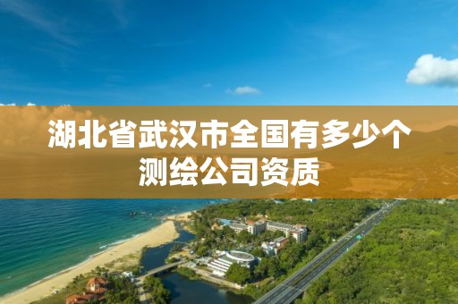 湖北省武漢市全國有多少個測繪公司資質