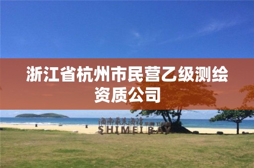 浙江省杭州市民營乙級測繪資質(zhì)公司