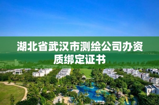 湖北省武漢市測(cè)繪公司辦資質(zhì)綁定證書