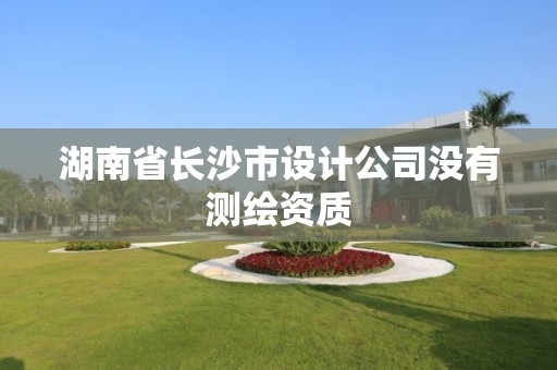 湖南省長沙市設(shè)計公司沒有測繪資質(zhì)