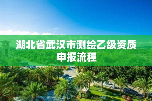 湖北省武漢市測繪乙級資質(zhì)申報流程