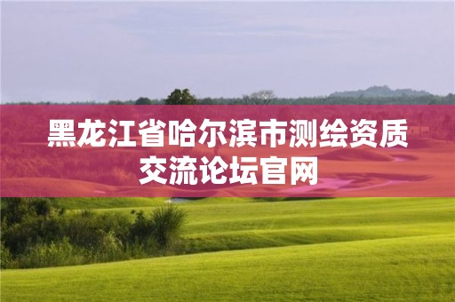 黑龍江省哈爾濱市測繪資質交流論壇官網