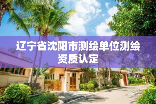 遼寧省沈陽市測繪單位測繪資質認定