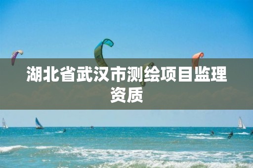 湖北省武漢市測繪項目監理資質