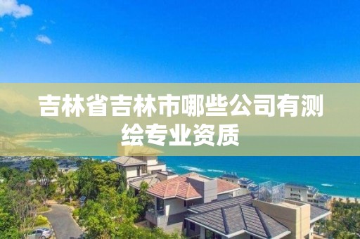 吉林省吉林市哪些公司有測繪專業(yè)資質(zhì)