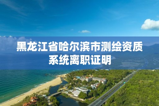 黑龍江省哈爾濱市測繪資質系統離職證明