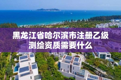 黑龍江省哈爾濱市注冊乙級測繪資質需要什么