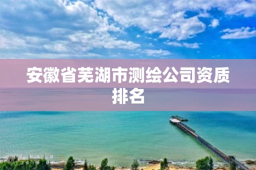 安徽省蕪湖市測繪公司資質(zhì)排名