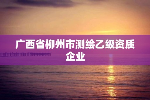 廣西省柳州市測繪乙級資質企業