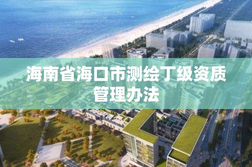 海南省海口市測繪丁級資質管理辦法