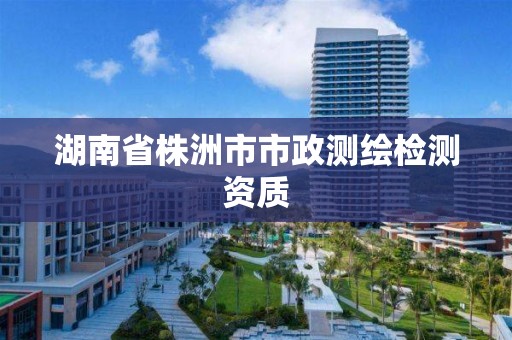 湖南省株洲市市政測繪檢測資質