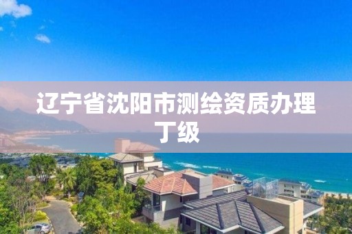 遼寧省沈陽市測繪資質辦理丁級