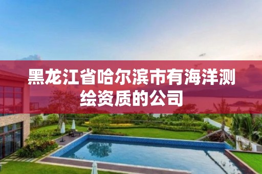 黑龍江省哈爾濱市有海洋測繪資質的公司