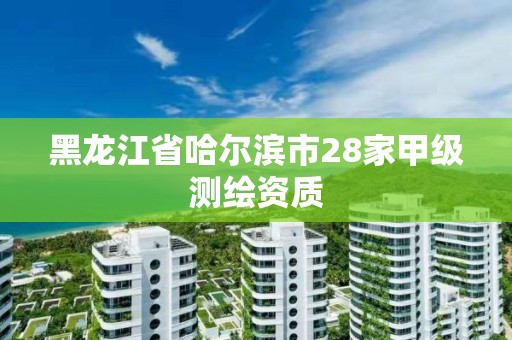 黑龍江省哈爾濱市28家甲級測繪資質