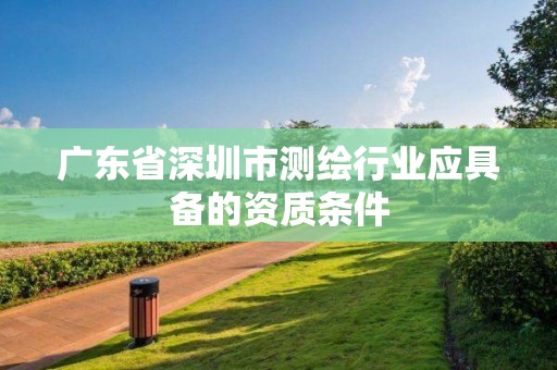 廣東省深圳市測繪行業應具備的資質條件