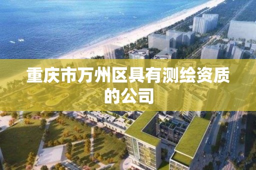 重慶市萬州區具有測繪資質的公司