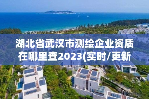 湖北省武漢市測(cè)繪企業(yè)資質(zhì)在哪里查2023(實(shí)時(shí)/更新中)