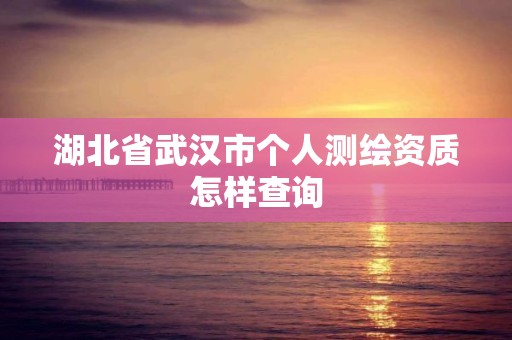 湖北省武漢市個人測繪資質怎樣查詢