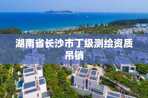 湖南省長沙市丁級測繪資質吊銷