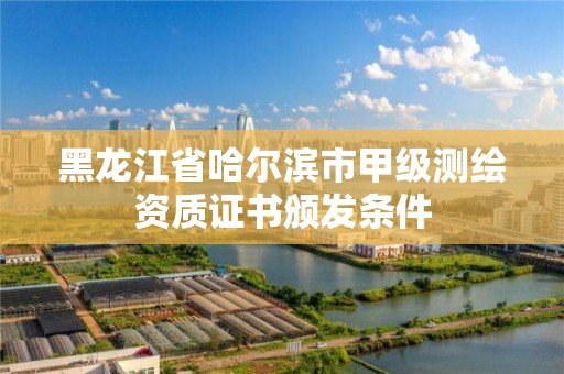 黑龍江省哈爾濱市甲級測繪資質證書頒發條件