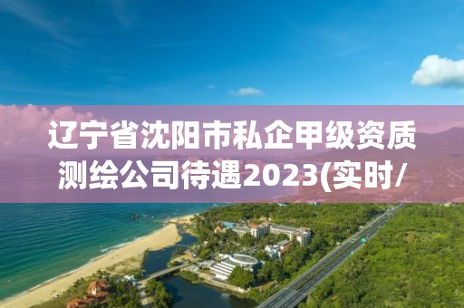 遼寧省沈陽市私企甲級資質測繪公司待遇2023(實時/更新中)