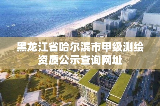 黑龍江省哈爾濱市甲級測繪資質公示查詢網址