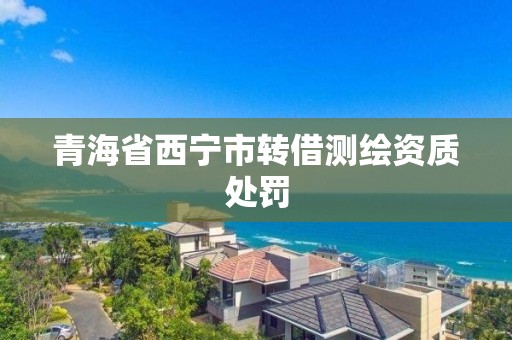 青海省西寧市轉借測繪資質處罰