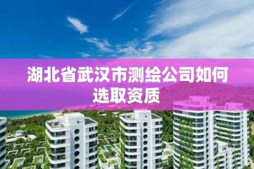 湖北省武漢市測繪公司如何選取資質(zhì)