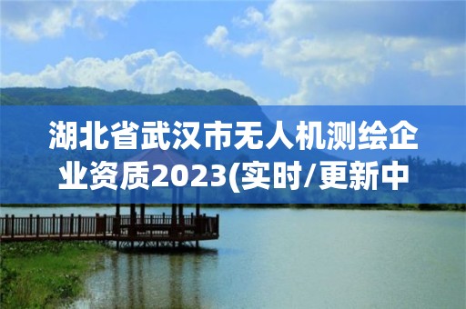 湖北省武漢市無人機測繪企業資質2023(實時/更新中)