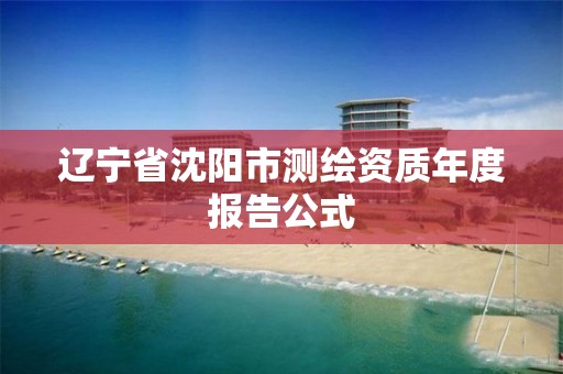 遼寧省沈陽市測繪資質年度報告公式